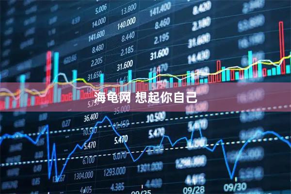 海龟网 想起你自己