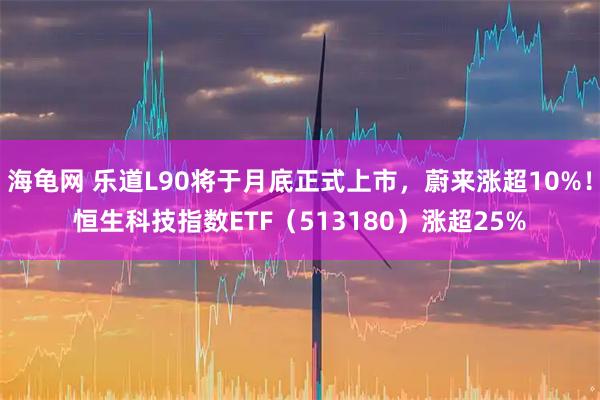 海龟网 乐道L90将于月底正式上市，蔚来涨超10%！恒生科技指数ETF（513180）涨超25%