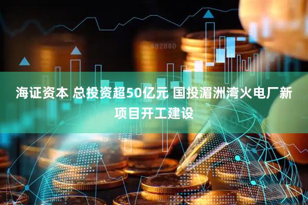 海证资本 总投资超50亿元 国投湄洲湾火电厂新项目开工建设